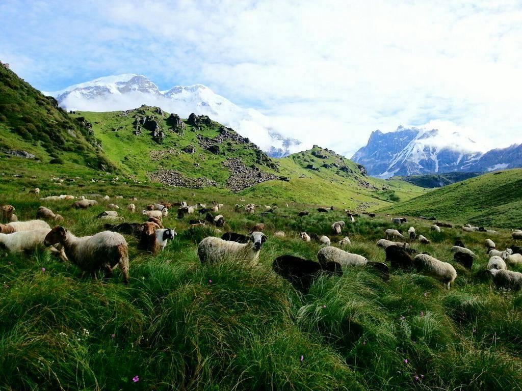 Kori Village Trek